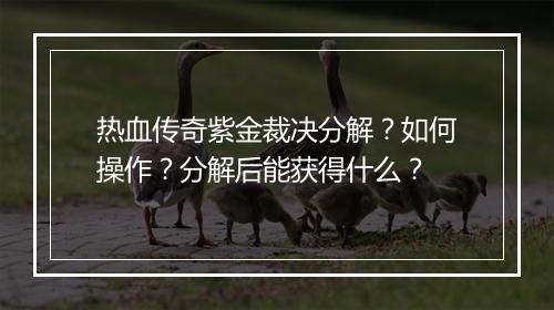 热血传奇紫金裁决分解？如何操作？分解后能获得什么？