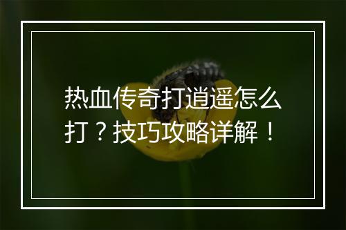 热血传奇打逍遥怎么打？技巧攻略详解！