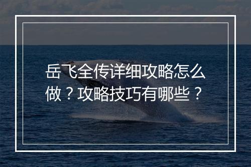 岳飞全传详细攻略怎么做？攻略技巧有哪些？