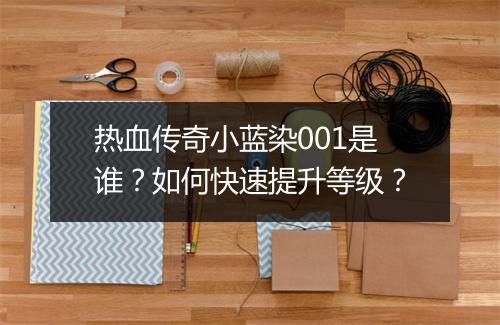 热血传奇小蓝染001是谁？如何快速提升等级？