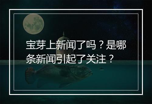宝芽上新闻了吗？是哪条新闻引起了关注？