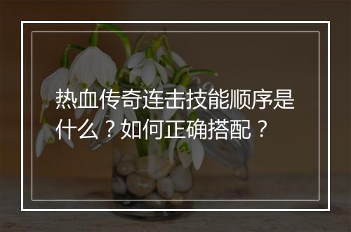 热血传奇连击技能顺序是什么？如何正确搭配？