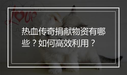 热血传奇捐献物资有哪些？如何高效利用？