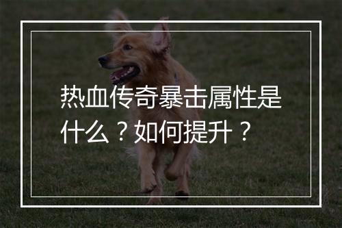 热血传奇暴击属性是什么？如何提升？