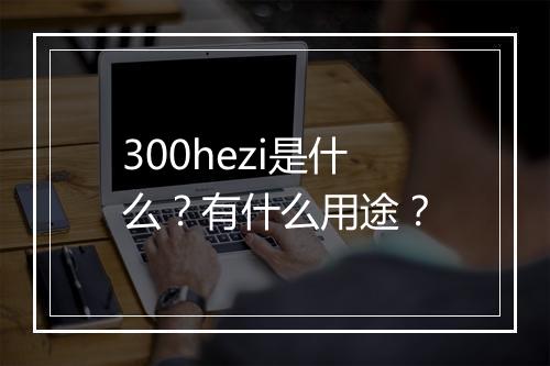 300hezi是什么？有什么用途？