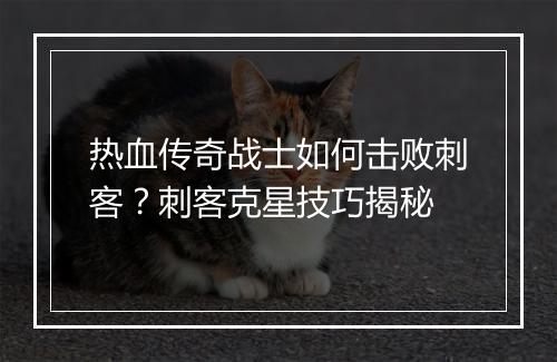 热血传奇战士如何击败刺客？刺客克星技巧揭秘