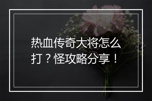 热血传奇大将怎么打？怪攻略分享！