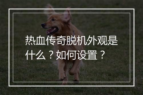 热血传奇脱机外观是什么？如何设置？