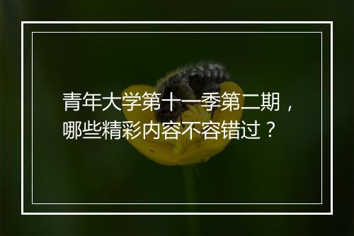 青年大学第十一季第二期，哪些精彩内容不容错过？