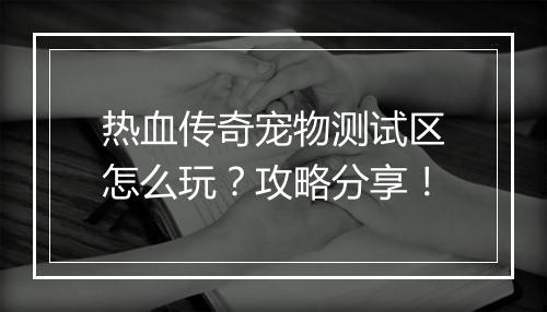 热血传奇宠物测试区怎么玩？攻略分享！