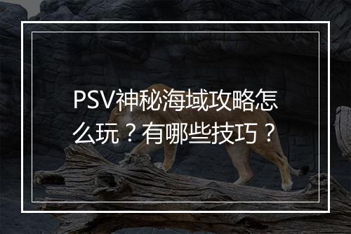 PSV神秘海域攻略怎么玩？有哪些技巧？