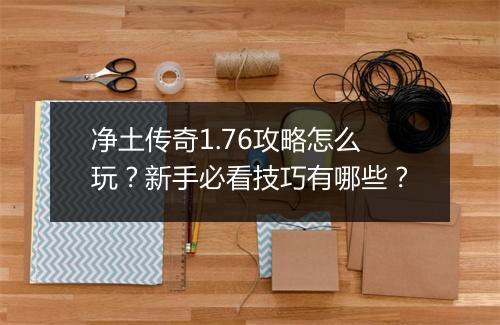 净土传奇1.76攻略怎么玩？新手必看技巧有哪些？