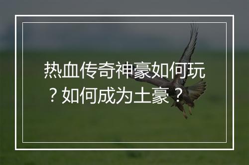 热血传奇神豪如何玩？如何成为土豪？