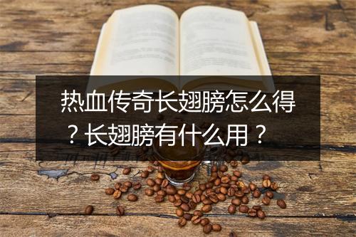 热血传奇长翅膀怎么得？长翅膀有什么用？