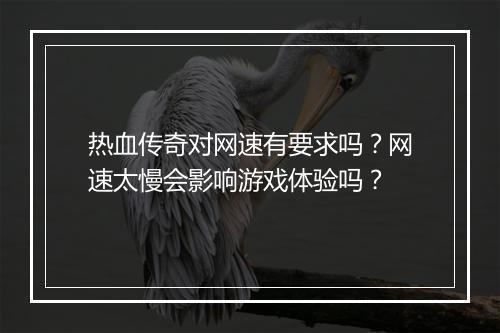 热血传奇对网速有要求吗？网速太慢会影响游戏体验吗？