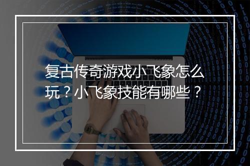 复古传奇游戏小飞象怎么玩？小飞象技能有哪些？