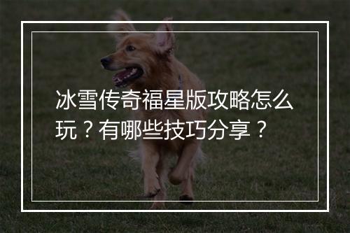 冰雪传奇福星版攻略怎么玩？有哪些技巧分享？