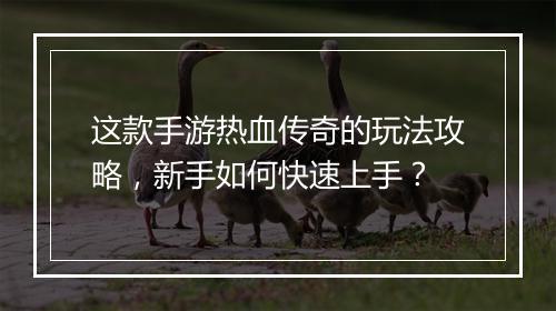 这款手游热血传奇的玩法攻略，新手如何快速上手？