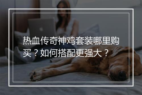 热血传奇神鸡套装哪里购买？如何搭配更强大？