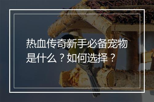 热血传奇新手必备宠物是什么？如何选择？