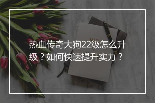 热血传奇大狗22级怎么升级？如何快速提升实力？