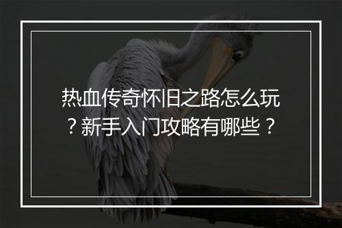 热血传奇怀旧之路怎么玩？新手入门攻略有哪些？