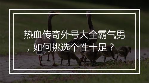 热血传奇外号大全霸气男，如何挑选个性十足？