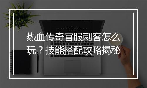 热血传奇官服刺客怎么玩？技能搭配攻略揭秘