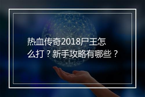 热血传奇2018尸王怎么打？新手攻略有哪些？