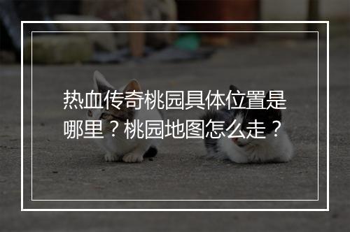 热血传奇桃园具体位置是哪里？桃园地图怎么走？