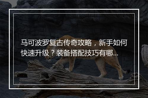 马可波罗复古传奇攻略，新手如何快速升级？装备搭配技巧有哪些？