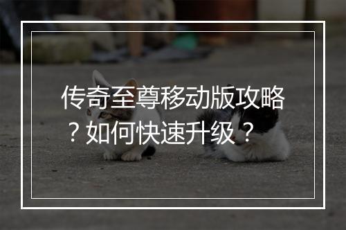 传奇至尊移动版攻略?如何快速升级?