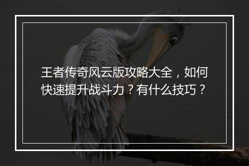 王者传奇风云版攻略大全，如何快速提升战斗力？有什么技巧？