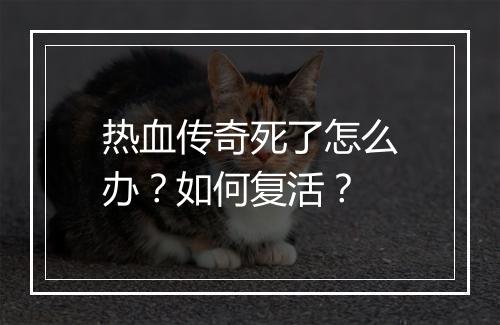 热血传奇死了怎么办？如何复活？
