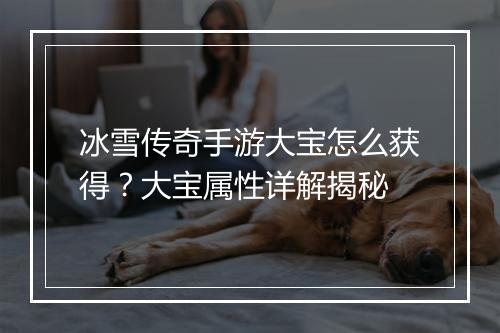 冰雪传奇手游大宝怎么获得？大宝属性详解揭秘
