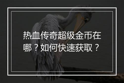 热血传奇超级金币在哪？如何快速获取？