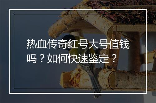 热血传奇红号大号值钱吗？如何快速鉴定？