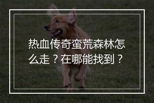 热血传奇蛮荒森林怎么走？在哪能找到？