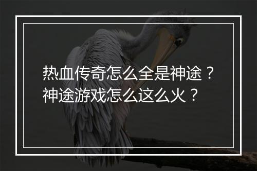 热血传奇怎么全是神途？神途游戏怎么这么火？
