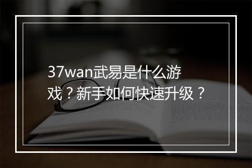37wan武易是什么游戏？新手如何快速升级？