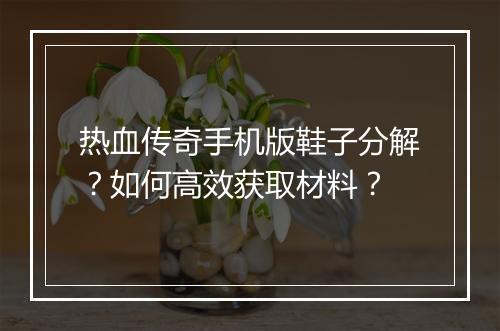 热血传奇手机版鞋子分解？如何高效获取材料？