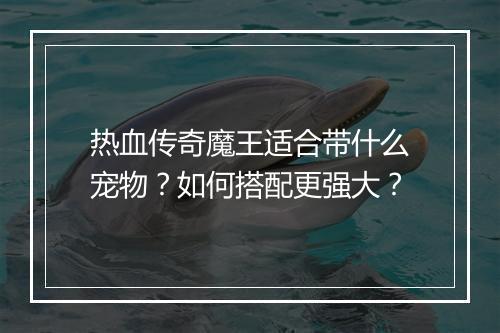 热血传奇魔王适合带什么宠物？如何搭配更强大？
