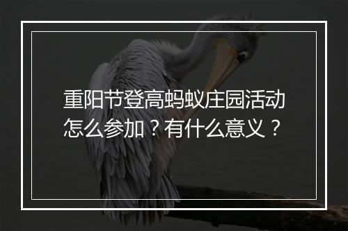 重阳节登高蚂蚁庄园活动怎么参加？有什么意义？