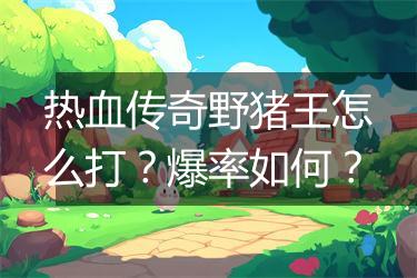 热血传奇野猪王怎么打？爆率如何？