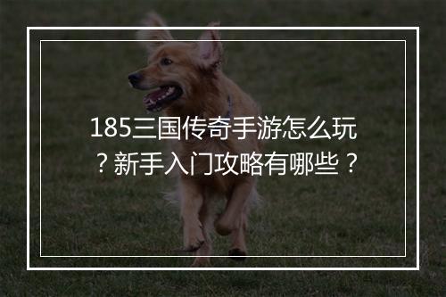185三国传奇手游怎么玩？新手入门攻略有哪些？