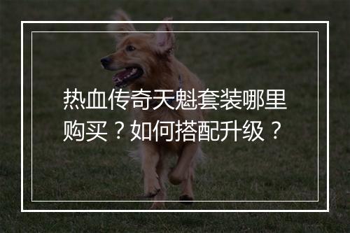 热血传奇天魁套装哪里购买？如何搭配升级？
