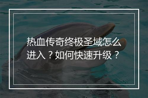 热血传奇终极圣域怎么进入？如何快速升级？