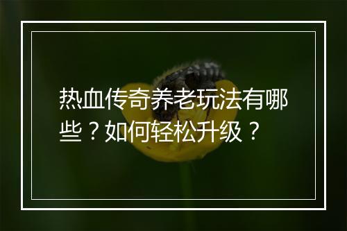 热血传奇养老玩法有哪些？如何轻松升级？