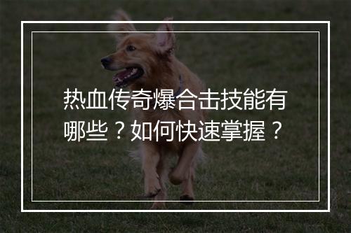 热血传奇爆合击技能有哪些？如何快速掌握？
