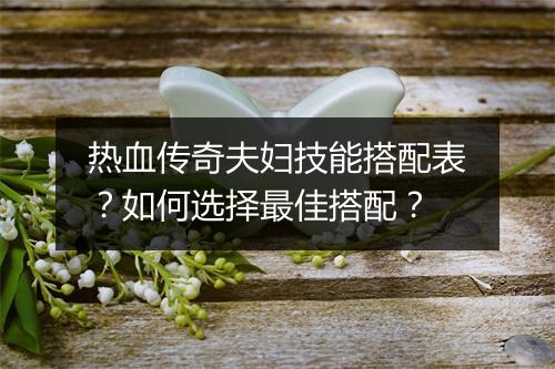 热血传奇夫妇技能搭配表？如何选择最佳搭配？